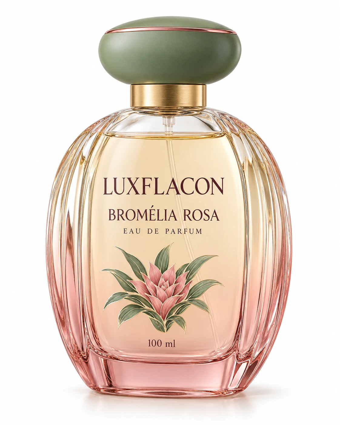 Bromélia Rosa: Oval canelado